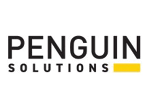 Penguin Solutions